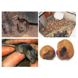 Bros 2szt. Pułapka klejowa lep na myszy skuteczna myszołapka z klejem