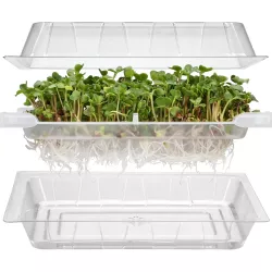 PNOS Kiełkownica Mini Naczynie do kiełkowania Kiełki Mikrolistki Witaminy Zdrowe Odżywianie