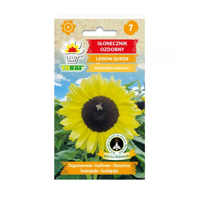 Toraf 2g Słonecznik Ozdobny Lemon Queen Żółty Wysoki Nasiona Roślina miododajna