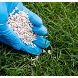 Fruktovit Plus 10 kg Nawóz do trawników Zagęszczający Gęsta Mocna Darń