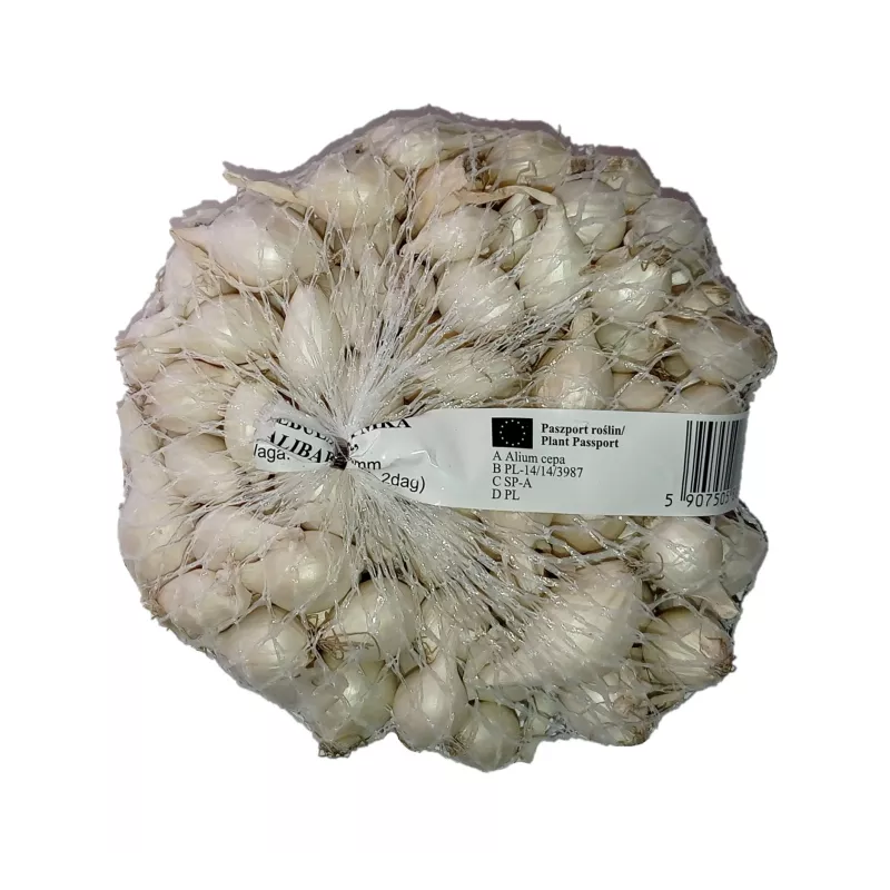 Cebula Dymka 0,25kg Alibaba Delikatna w smaku Biała