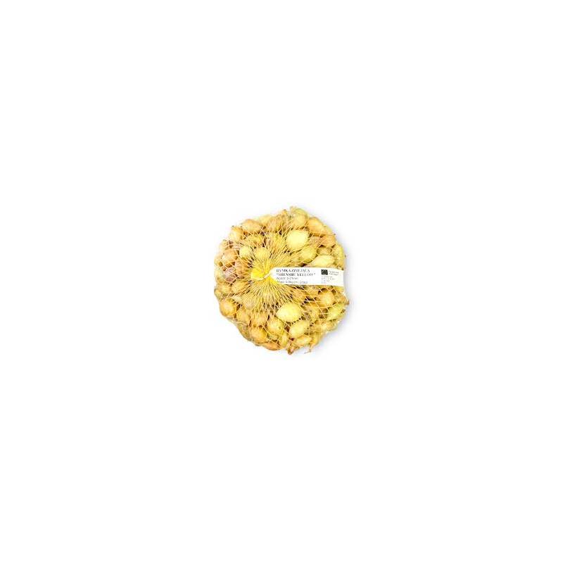 Cebula Dymka 0,25kg Zimująca Senshyu Yellow
