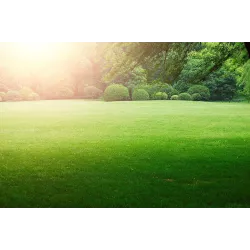 Florovit 0,5 kg trawa sportowa