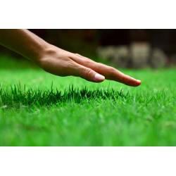 Florovit 0,9 kg Trawa Sportowa