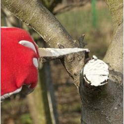 Ziemovit 125g Maść Ogrodnicza