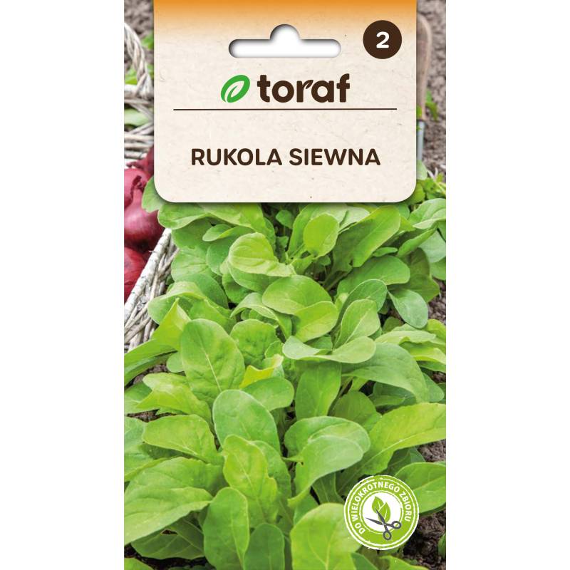 Toraf 1g Rukola siewna Nasiona ziół Roślina jednoroczna Sałatki Zdrowy dodatek Orzechowy smak