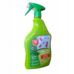 SBM 750ml Fastion Skuteczny Oprysk Spray na Mrówki Komary Rybiki Karaluchy w Domu Piwnicy Garażu Długodziałający