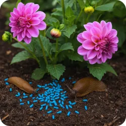 Twój Ogród 200g Lima Oro 5GB Ślimakobójczy Środek Zwalcza Ślimaki Nagie Trutka Niebieskie Granulki