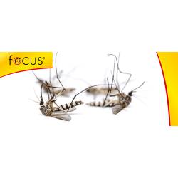 Twój Ogród 10szt. Focus Spirale na Owady Zwalcza Komary Meszki Długo Działa