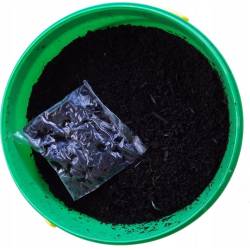 Ekodarpol 3 l Komposter BIO aktywator do kompostu bioodpadów