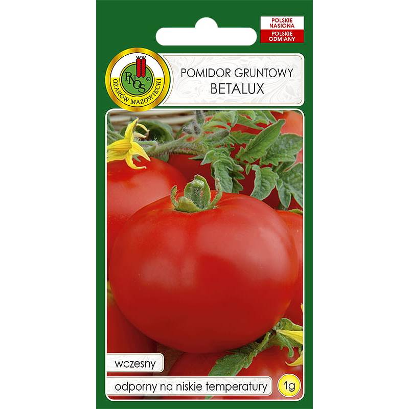 PNOS 1g Pomidor Gruntowy Betalux Oża Wczesny Karłowy Odporny na Niskie Temperatury Nasiona