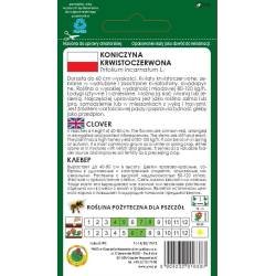 PNOS 10g Koniczyna Krwistoczerwona Roślina Miododajna do Siewu Wiosną Jesienią Nasiona