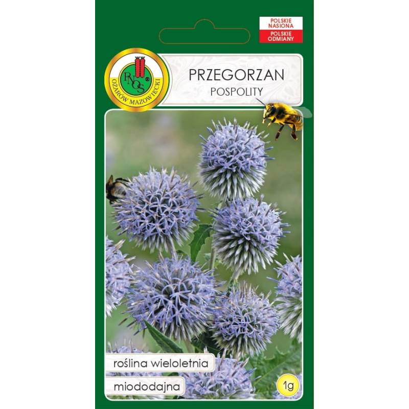 PNOS 1g Przegorzan Pospolity Roślina Wieloletnia Bylina Miododajna Pożyteczna dla Pszczół Nasiona