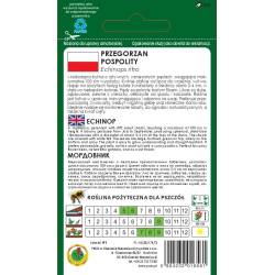 PNOS 1g Przegorzan Pospolity Roślina Wieloletnia Bylina Miododajna Pożyteczna dla Pszczół Nasiona