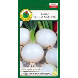 PNOS 1g Cebula Tonda Musona Duża Słodka Aromat Czosnku Nasiona