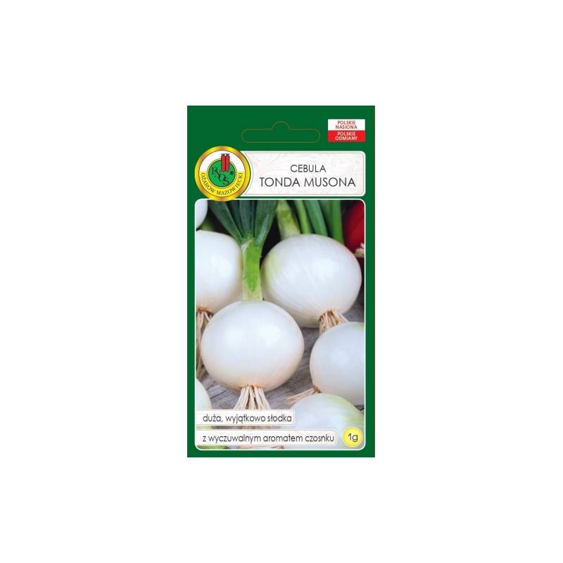 PNOS 1g Cebula Tonda Musona Duża Słodka Aromat Czosnku Nasiona