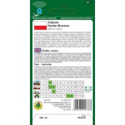 PNOS 1g Cebula Tonda Musona Duża Słodka Aromat Czosnku Nasiona