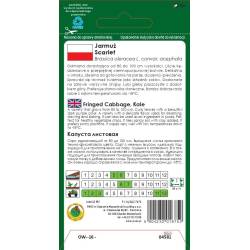 PNOS 5g Jarmuż Scarlet Ciemnopurpurowe Liście Odporny na Mróz Nasiona