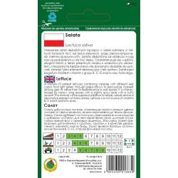 PNOS 1,2g Sałata Dębolistna Mieszanka Odmian Dekoracyjna Smaczna Lekko Pikantny Smak Nasiona