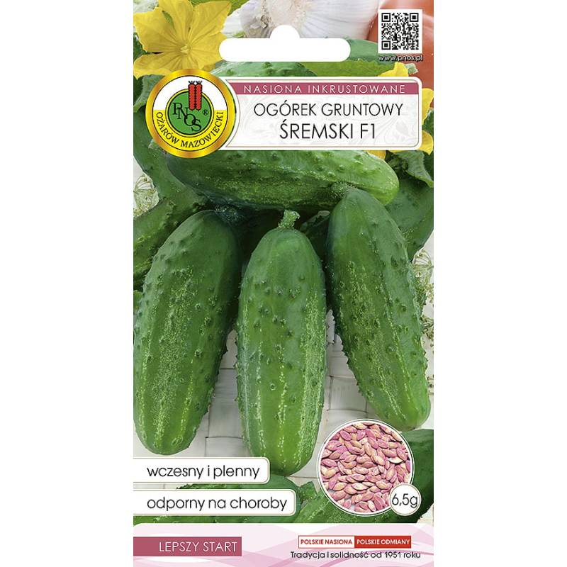PNOS 6,5g Ogórek Gruntowy Śremski F1 Nasiona Inkrustowane Wczesny Odporny na Choroby