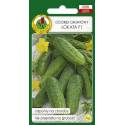 PNOS 5g Ogórek Gruntowy Lokata F1 Odporny na Choroby Nie Przerasta na Grubość Nasiona