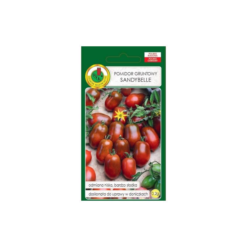 PNOS 0,2g Pomidor Gruntowy Sandybelle Koktajlowy Niski Słodki Polecany do Uprawy w Doniczkach Nasiona
