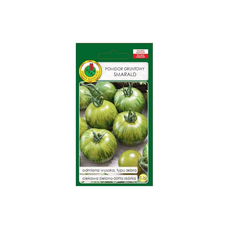 PNOS 0,2g Pomidor Gruntowy Smarald Odmiana Wysoka Typ Zebra Duże Owoce Zielono Żółta Skórka Nasiona