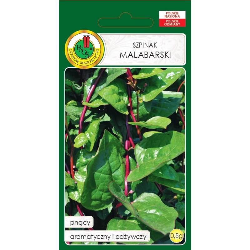 PNOS 0,5g Szpinak Pnący Malabarski Indyjski Cejloński Roślina Pnąca Aromatyczny Odżywczy Nasiona