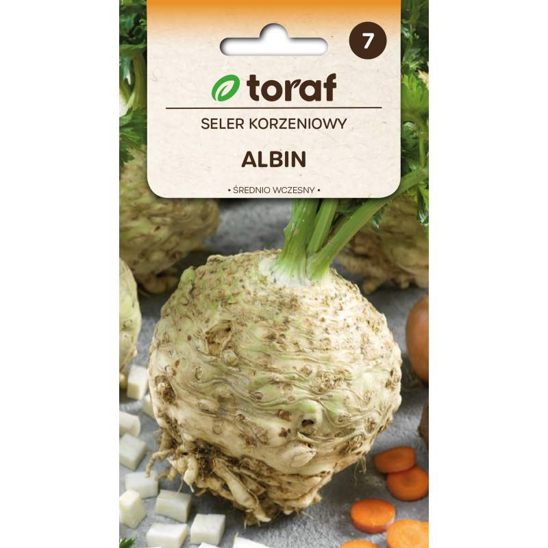 Toraf 0,5g Seler Korzeniowy Albin Nasiona Średnio Wczesny Duży Kulisty Miąższ Biały Zwarty