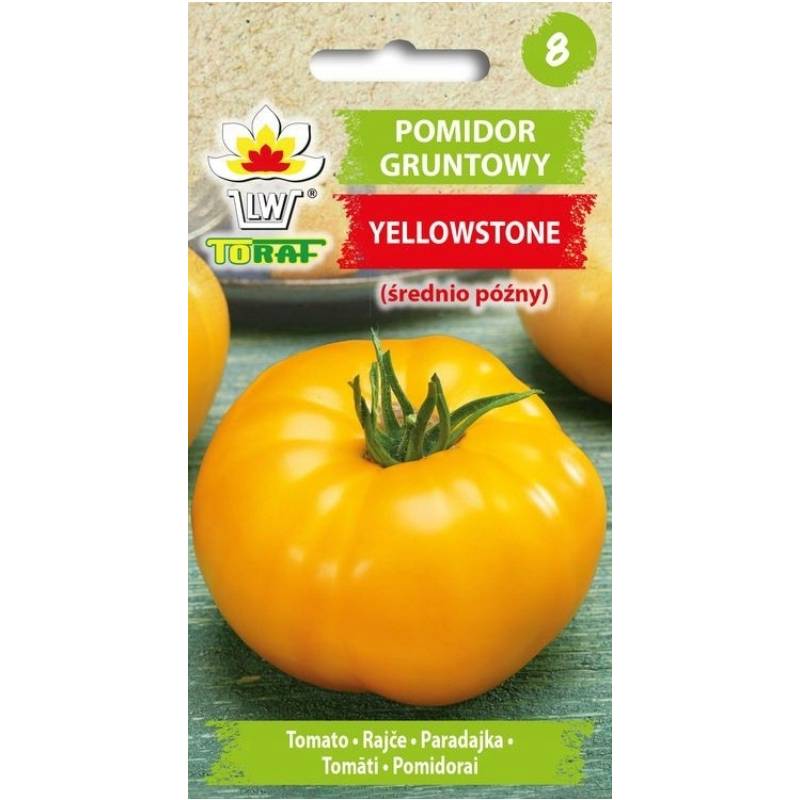 Toraf 0,3g Pomidor Gruntowy Yellowstone Nasiona Żółty Średnio Późny Wysoki do Uprawy w Gruncie pod Osłonami Bardzo Duże Owoce
