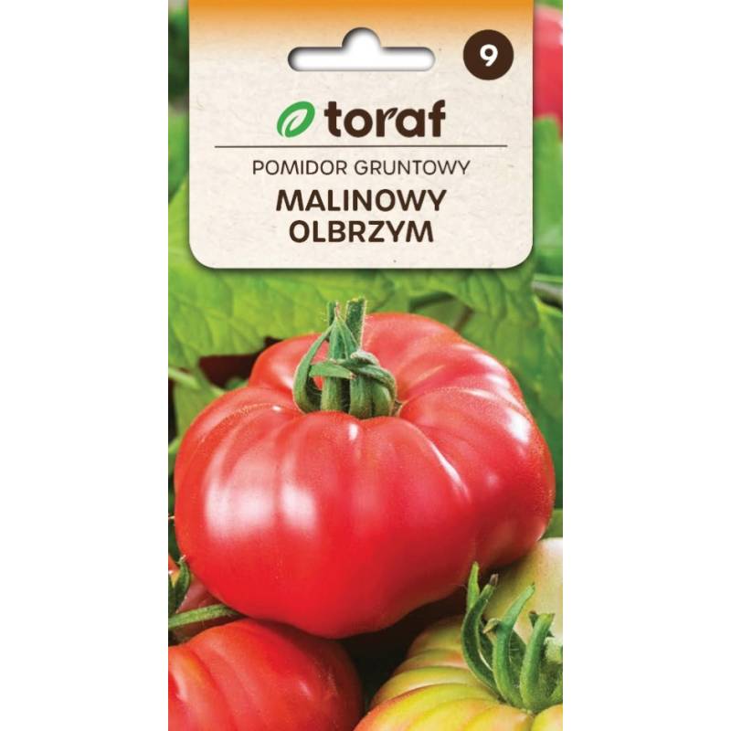 Toraf 0,5g Pomidor Gruntowy Malinowy Olbrzym Nasiona Średnio Późny Bardzo Plenny Uprawa w Gruncie Bardzo Duże Owoce