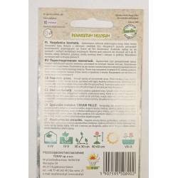 Toraf 12 szt Rozplenica Kosmata Nasiona Roślina Jednoroczna Trawa Ozdobna Dekoracyjna Niska na Suche Bukiety