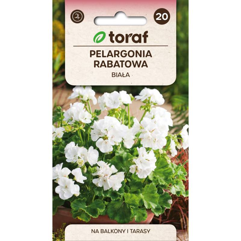 Toraf 0,05g Pelargonia Rabatowa Biała Nasiona na Balkony Tarasy Rabaty Długo Kwitnie