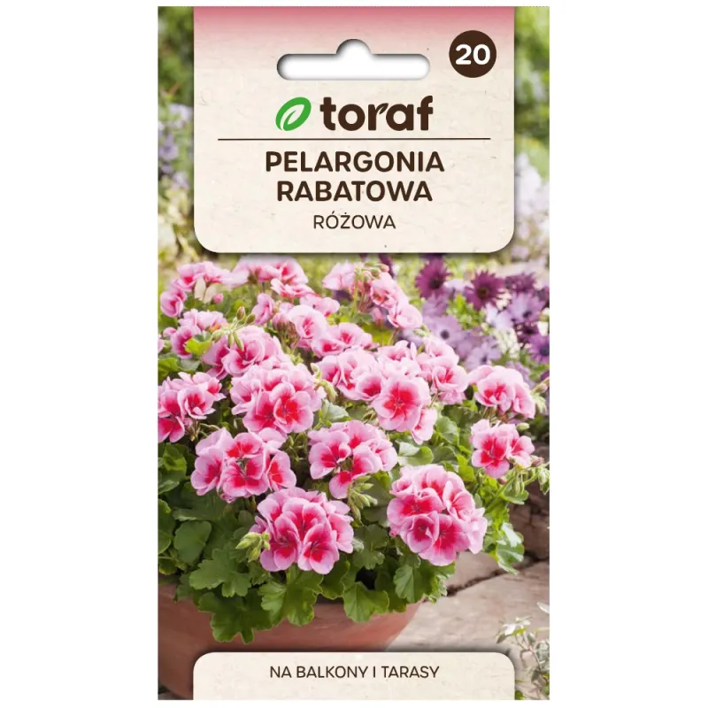 Toraf 0,05g Pelargonia Rabatowa Różowa Nasiona na Balkony Tarasy Rabaty Długo Kwitnie