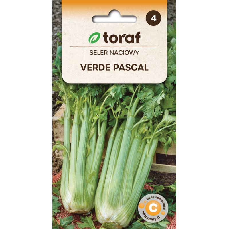Toraf 0,5g Seler Naciowy Verde Pascal Nasiona Duża Zawartość Witaminy C Dodatek do Zup Koktajli Sałatek