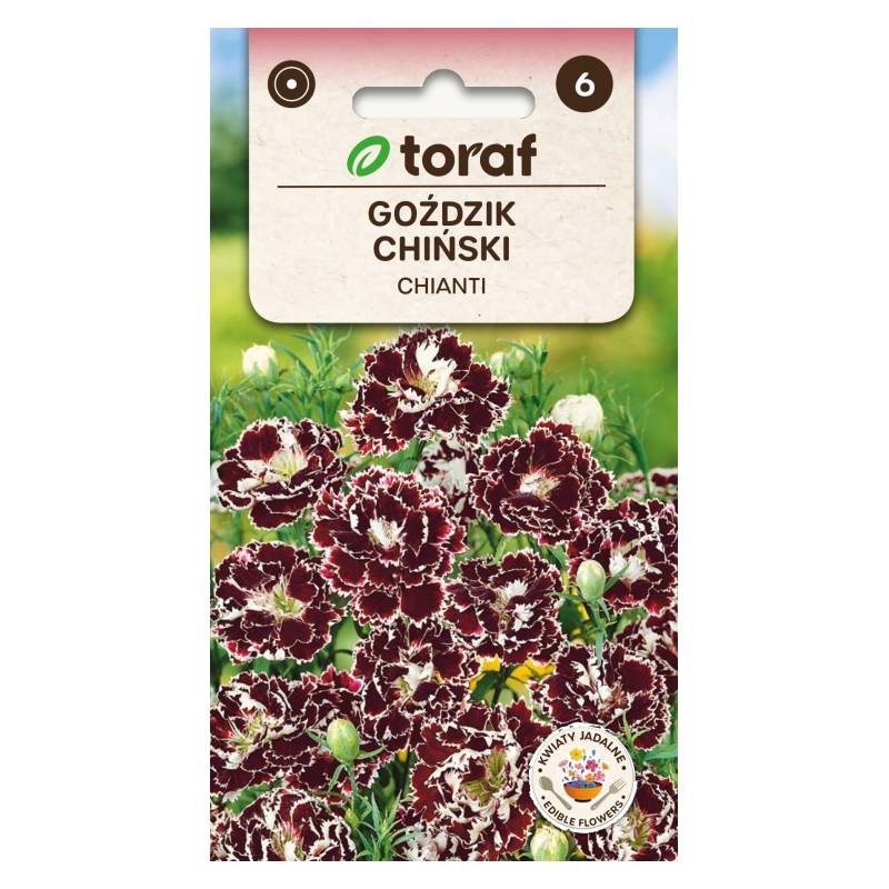 Toraf 0,1g Goździk Chiński Chianti Nasiona Roślina Jednoroczna Niska Pachnące Kwiaty na Kwiat Cięty Bukiety