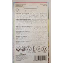 Toraf 0,1g Goździk Chiński Chianti Nasiona Roślina Jednoroczna Niska Pachnące Kwiaty na Kwiat Cięty Bukiety