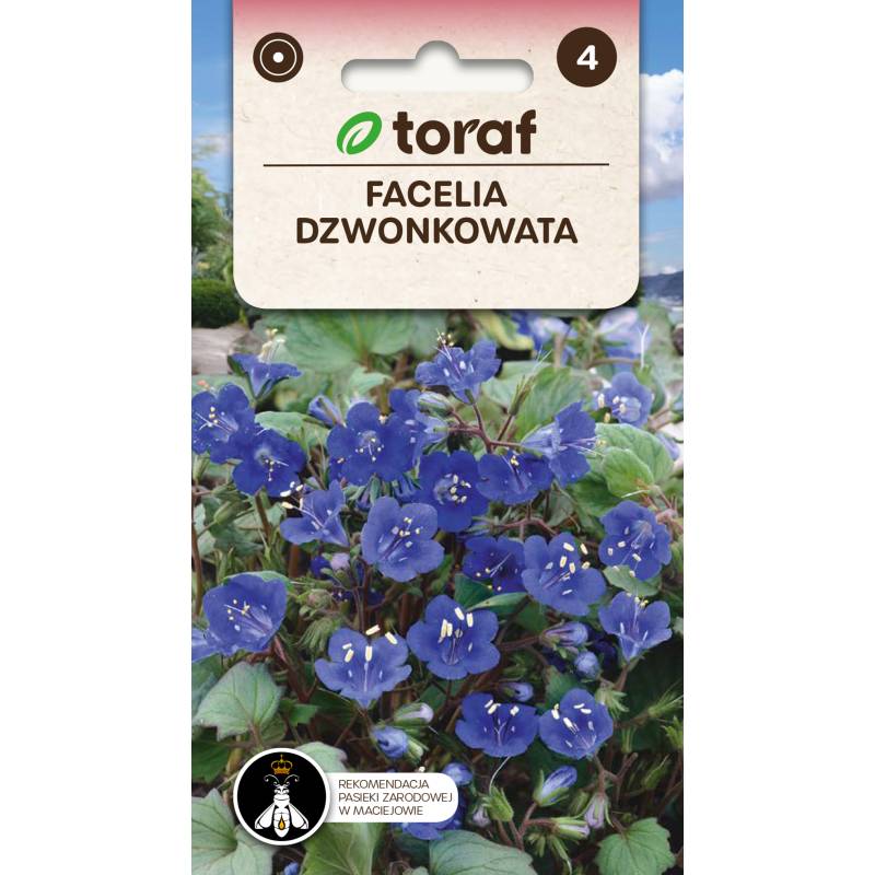 Toraf 0,5g Facelia Dzwonkowata Nasiona Roślina Jednoroczna Niska Miododajna Przyjazna dla Pszczół