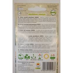 Toraf 1g Aster Wysoki Peoniowy Janka Nasiona Roślina Jednoroczna Długo Obficie Kwitnie na Kwiat Cięty Rabaty Kwietniki