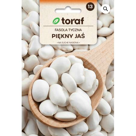 Toraf 25g Fasola Tyczna Piękny Jaś na Suche Nasiona Odmiana Średnio Późna Duża Biała