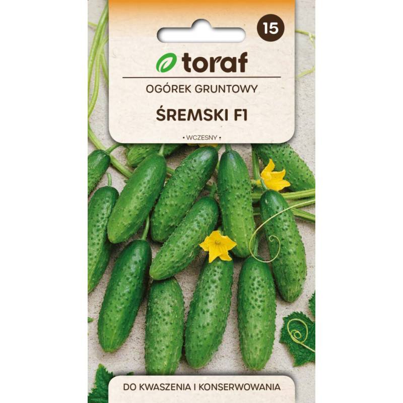 Toraf 5g Ogórek Śremski F1 Nasiona warzyw Odmiana gruntowa wczesna bardzo plenna Smaczny