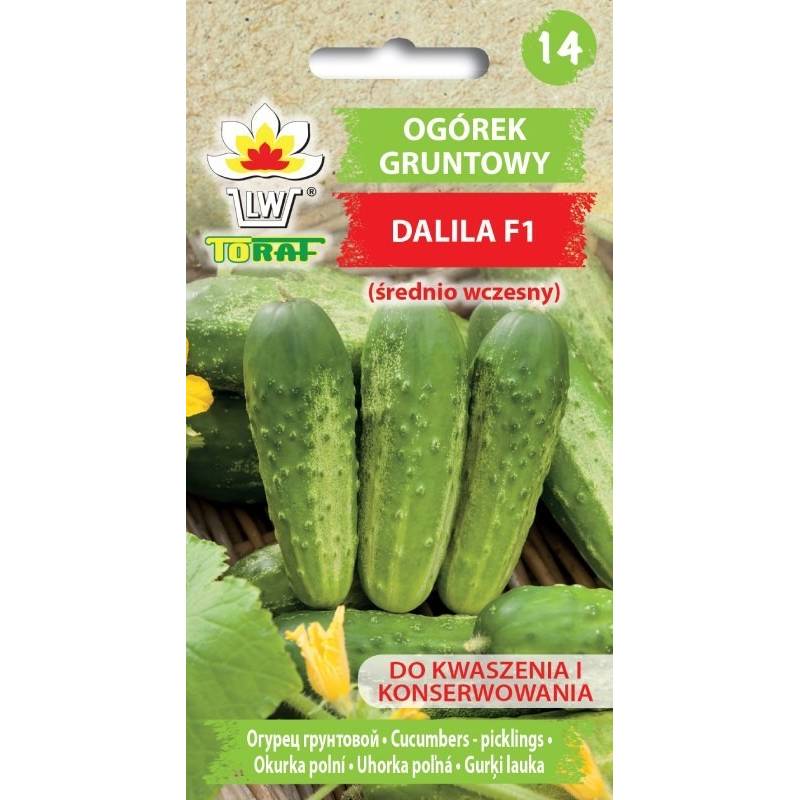 Toraf 5g Ogórek Dalila F1 Nasiona warzyw Odmiana gruntowa średniowczesna Bardzo plenna