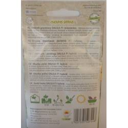 Toraf 5g Ogórek Dalila F1 Nasiona warzyw Odmiana gruntowa średniowczesna Bardzo plenna