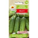 Toraf 5g Ogórek Hela F1 Gruntowy Nasiona warzyw Odmiana wczesna wyrównana smaczna bardzo plenna Kwaszenie