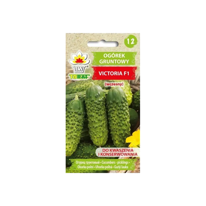 Toraf 5g Ogórek Victoria F1 Nasiona warzyw Odmiana wczesna gruntowa konserwowa plenna konserwowa
