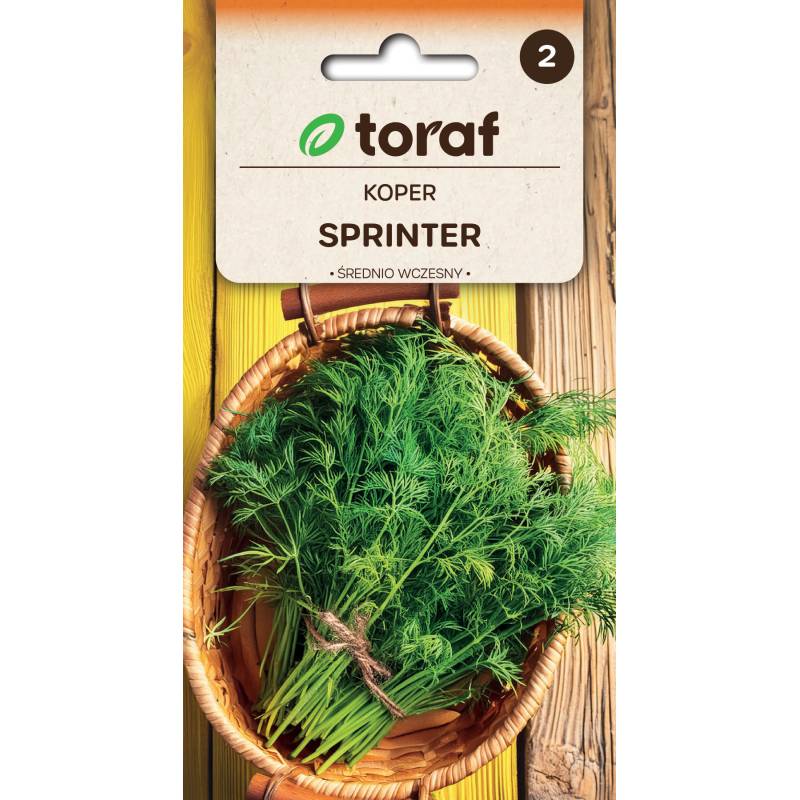 Toraf 5g Koper Ogrodowy Sprinter Nasiona ziół Odmiana średniowczesna Aromatyczny Szybko rośnie