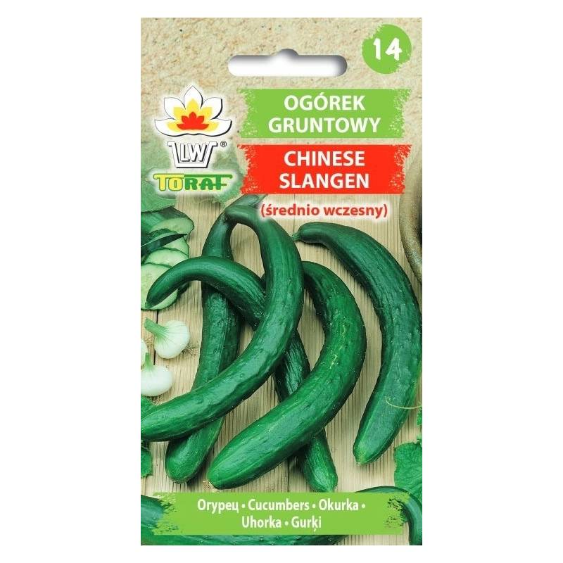 Toraf 5g Ogórek Chinese Slangen Sałatkowy Gruntowy Nasiona warzyw odmiana średniowczesna sałatki kanapki