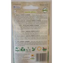 Toraf 5g Ogórek Chinese Slangen Sałatkowy Gruntowy Nasiona warzyw odmiana średniowczesna sałatki kanapki