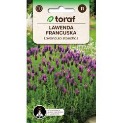 Toraf 0,1g Lawenda Francuska Nasiona ziół pachnące kwiaty wspomaga układ pokarmowy