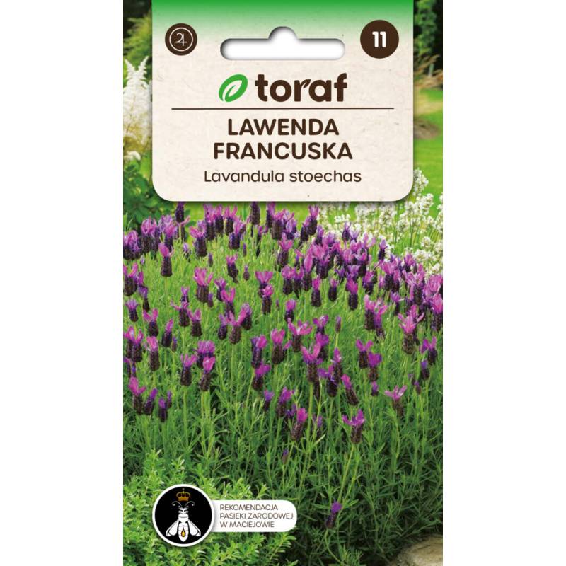 Toraf 0,1g Lawenda Francuska Nasiona ziół pachnące kwiaty wspomaga układ pokarmowy